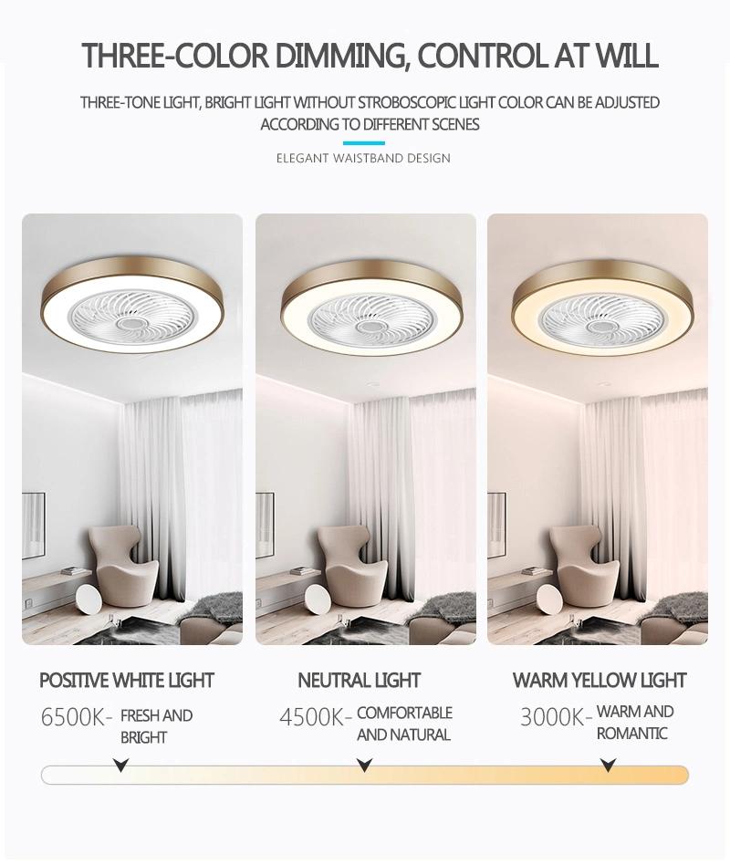 LED Ceiling Fan New Arrival 220V AC Motor Multifunction LED Lighting Fan Ceiling Light