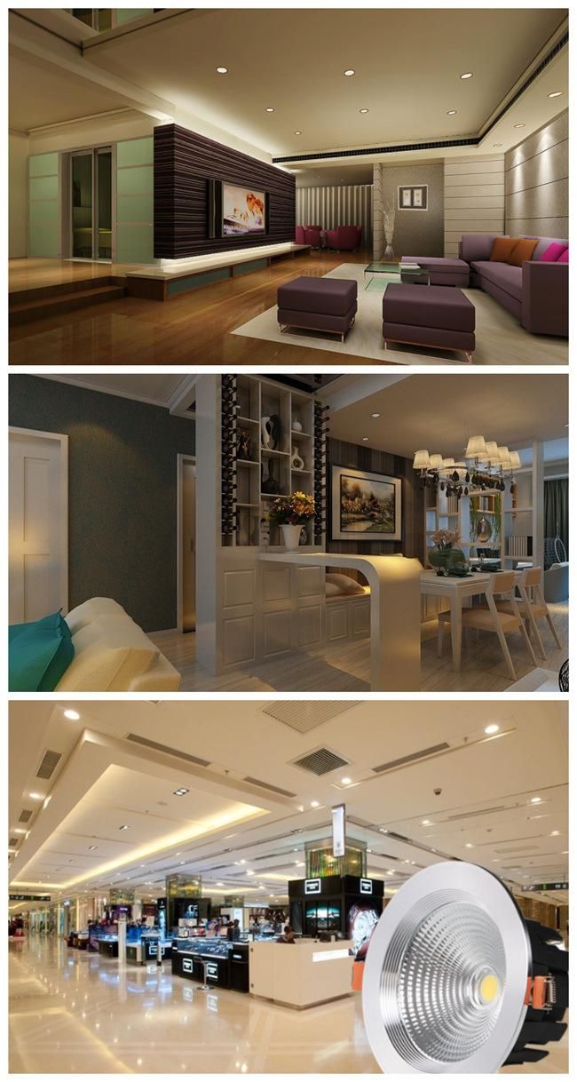 Customized LED Ceiling COB CREE 15W LED Down Light