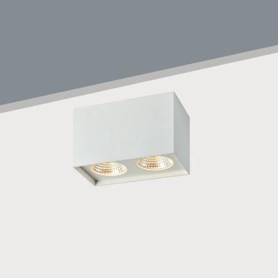 Double Source IP44 COB LED Surface Mounted Light