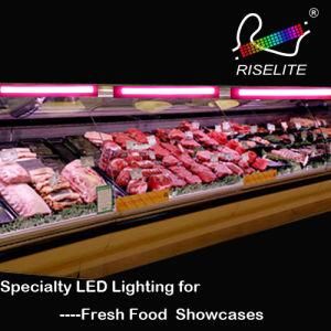 LED Lighting for Fresh Food Showcases ETL cETL U. S. Certification