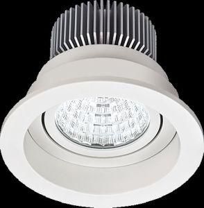 Ceiling Recessed LED COB Aluminum Spot Light (SD8221)