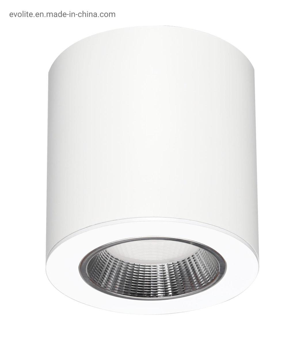 Die Cast Aluminum Samsung Chips Dali Triac 0-10V Dimming IP 65 Surface Mounting LED Downlight