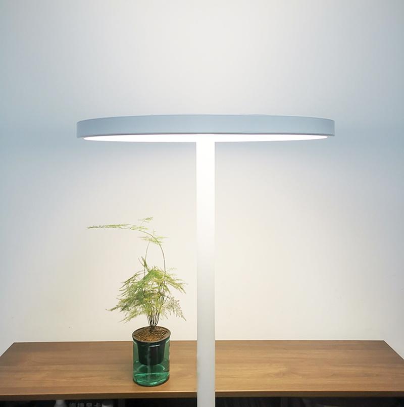 Simple Style LED Desktop Standing Lamp, Desktop Reading Lamp for Modern Office Workstation