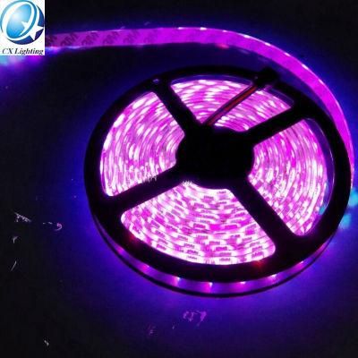 Hot Sell SMD2835 LED Strip Lights