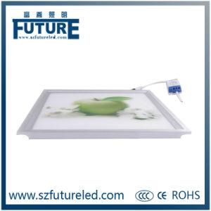 New Cheap Product SMD2835 24W Square LED Panel Light Price