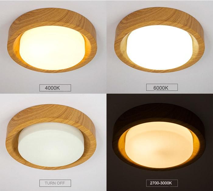 Modern Metal and Glass Round LED Ceiling Lamp Lights Finished for Kitchen Dia35cm