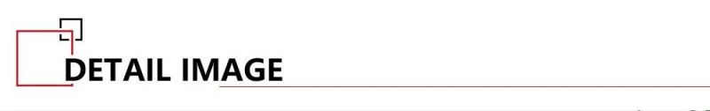CE Certified LED Wall Lamp with 110-240V Input Voltage