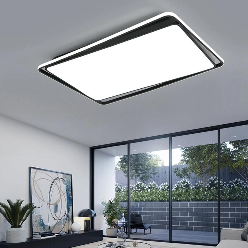 Modern Remote Control Hidden Blade Decorative Outdoor LED Ceiling Light Energy Saving Ceiling Light