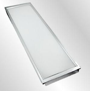 48W LED Panel Lamp 300*1200mm