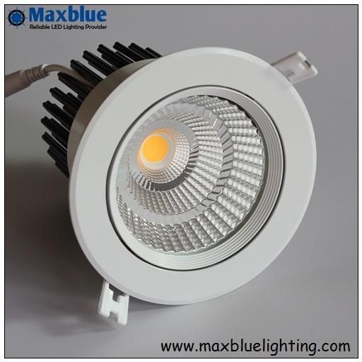 6W-35W Movable Silver/White COB LED Ceiling Downlight