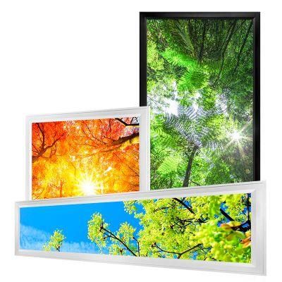 1200*600mm 2*4FT Skyl Cloud CCT Dimmable LED Panel Light