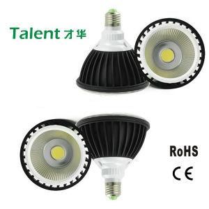 24W PAR38 COB LED Lamp with Black Aluminum House Color