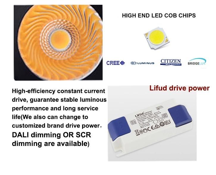 SCR Dimming/Dali Dimming 12W 20W 30W Spot Ceiling Die-Casting Aluminum COB LED Downlight