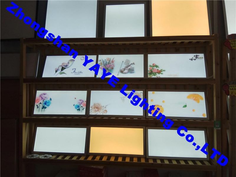 Yaye 18 Ce/RoHS Best Sell 600*1200mm 36W/48W/60W LED Panel Light & LED Panel Lamp with 2/3 Years Warranty