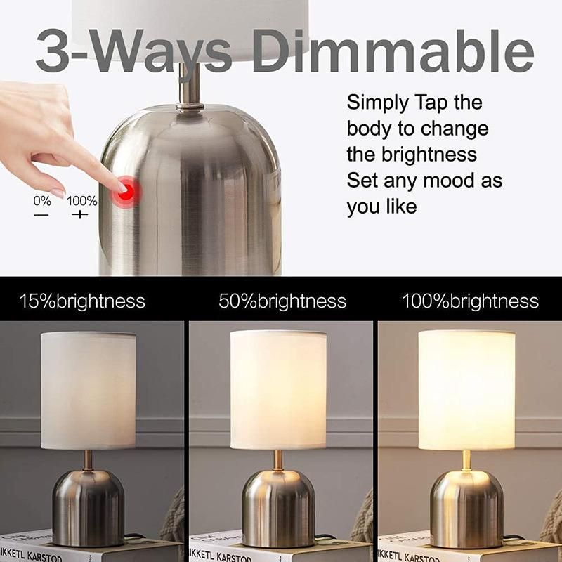 Amazon Modern Fashion Metal Decor Table Lamp for Hotel Home Decoration