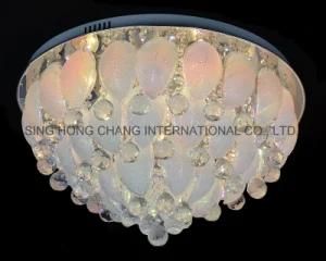 Glass Ceiling Lamps in Elegant Design