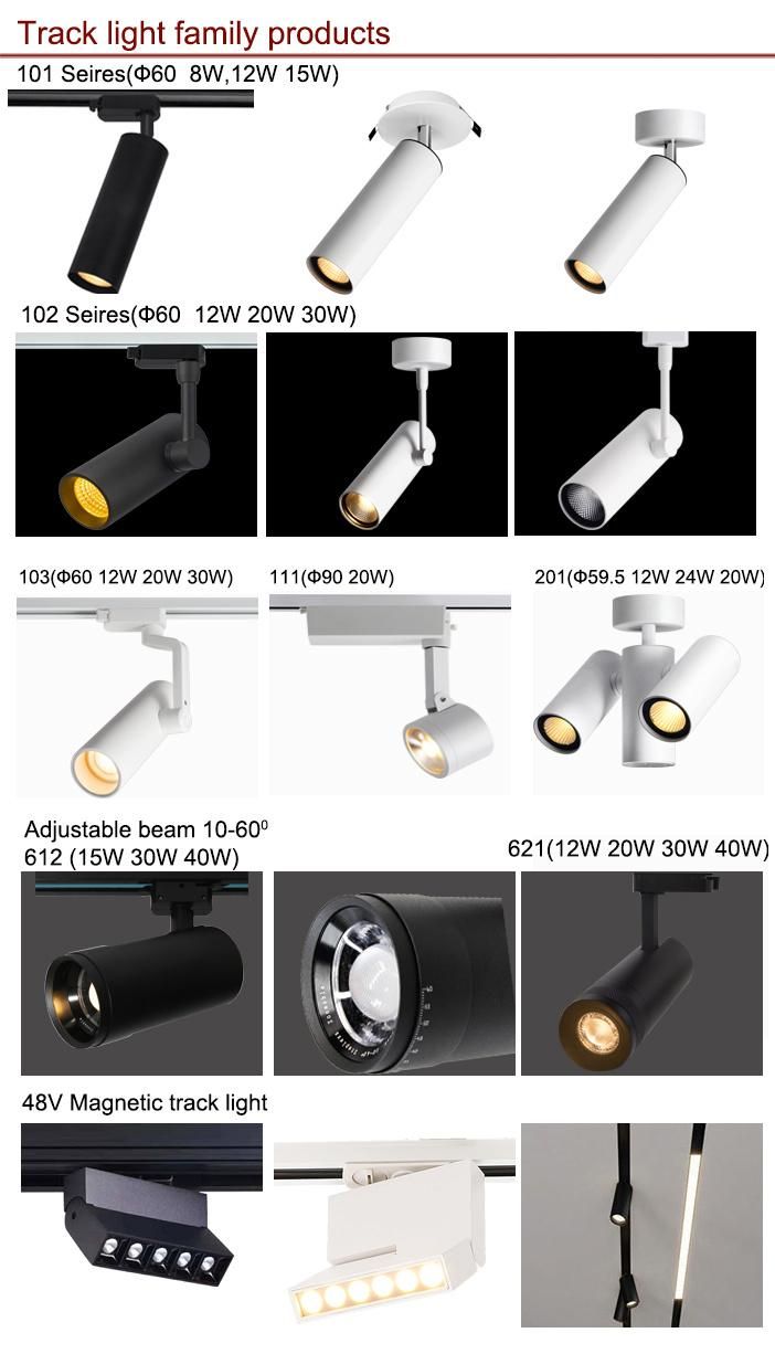 Zoom-Able 10-60 Angle 30W Adjustable COB LED Track Lights with GU10 LED Bulbs