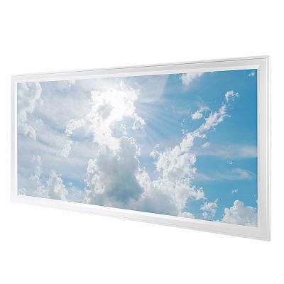 Skylight Display LED Panel Light