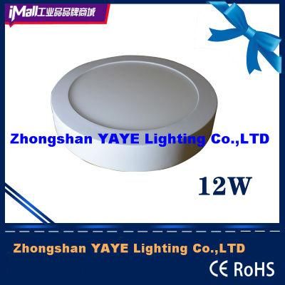 Yaye 18 Factory Price 6W/9W/12W/24W/36W/48W Round Surface Mounted LED Panel Light / LED Panel Lamp with 2/3years Warranty