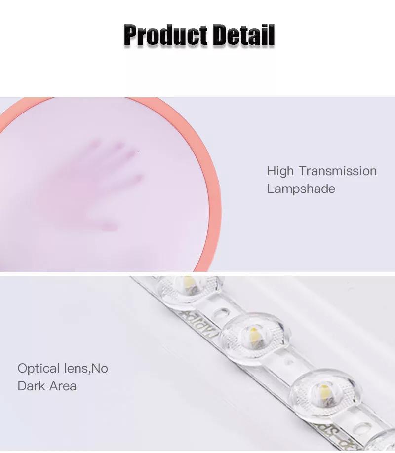 Modern Surface Mounted Bedroom Living Room Home Lighting Round Pink Black LED Ceiling Lamp LED Ceiling Light