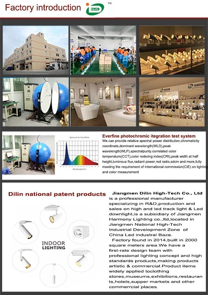 360 Degree Surface/Recessed/Hanging Mounted 2/3/4 Wire LED COB Track Light Zhongshan
