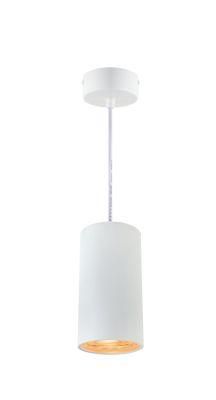 Economic 18W Pendant Lamp Suspension Mounted for Living Room IP20