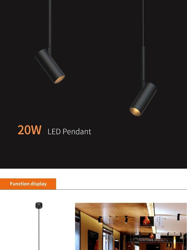 Indoor Ceiling Mounted 15W Adjustable Dimmable LED Pendant Light