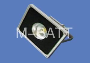 LED Project Lamp (DF-DPL287-50W)