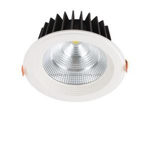 Precision Designed Uniform Astigmatism with High Quality LED Downlight