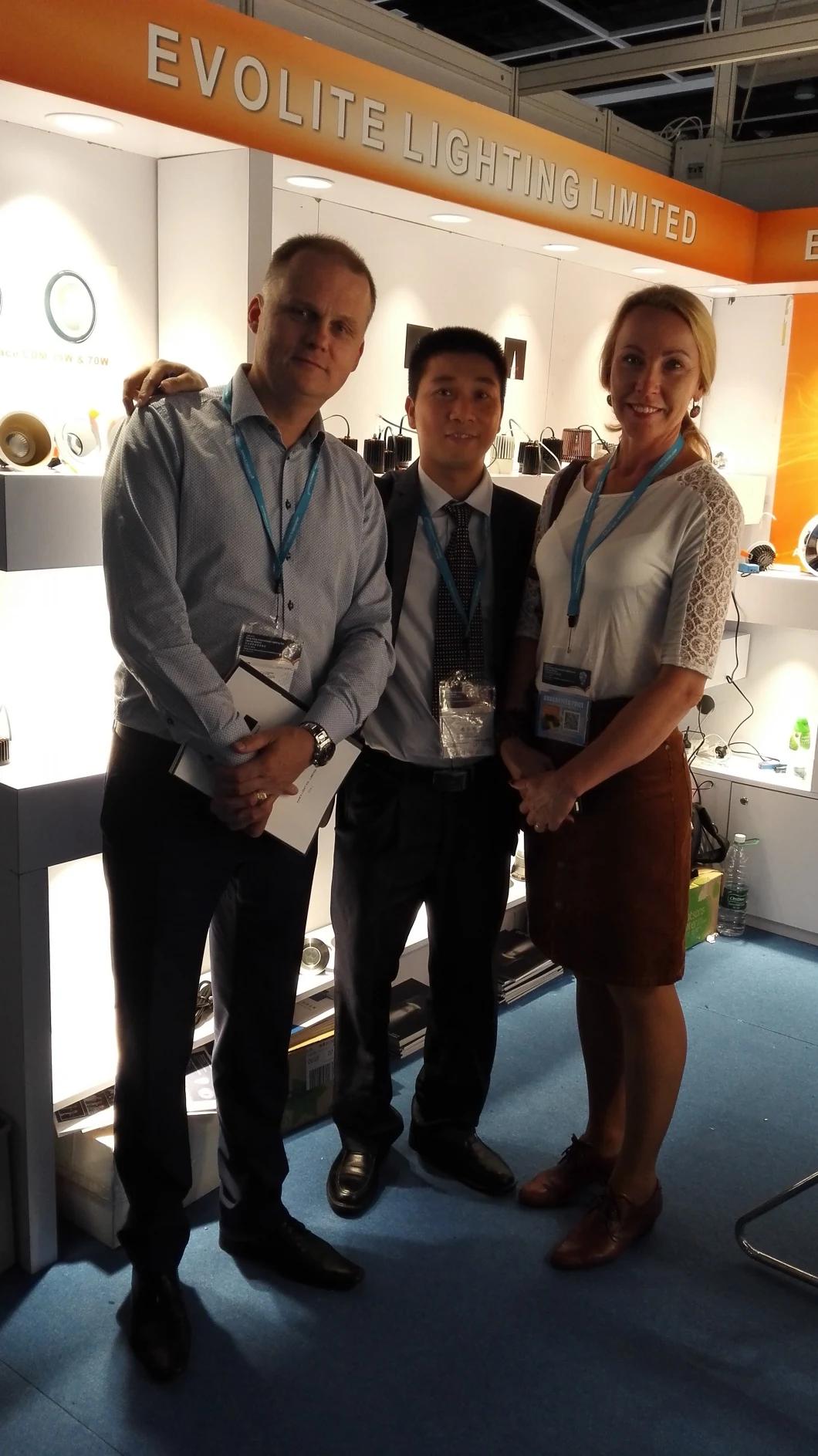 Customer Order High Lumen Hotel Project LED 52W Bulb Recessed COB Spotlight Down Light