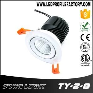 Ty2-8 Downlight Casing, Small Bathroom LED Down Light
