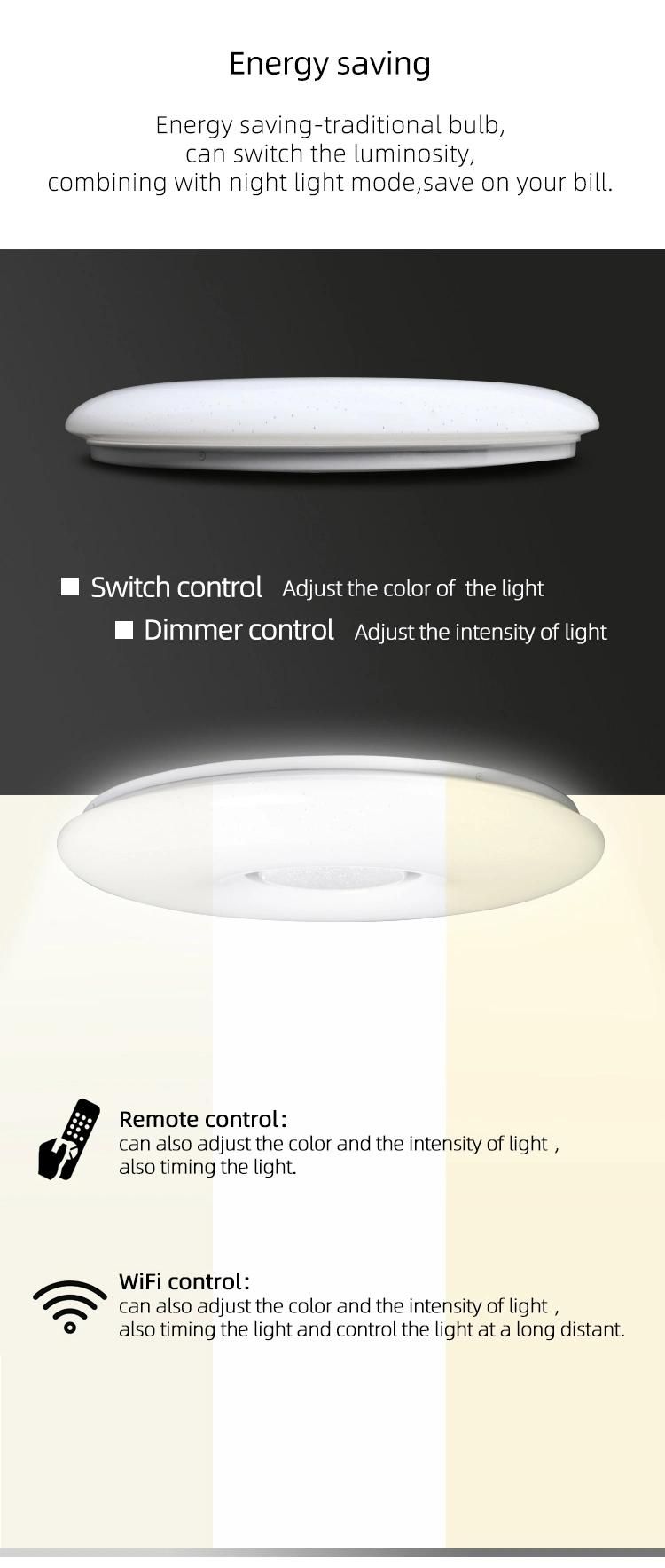 New Indoor IP65 LED Ceiling Lamp Nordic WiFi Ceiling Light