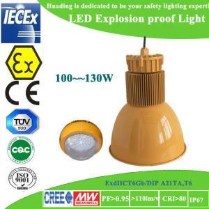 High Quality Explosion Proof Light with 3-Year Warranty