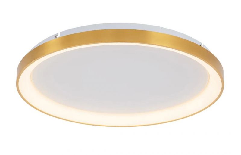 Masivel Factory 36W/48W/60W/80W/100W New Design Bedroom Ceiling Mounted LED Ceiling Light with Spangle