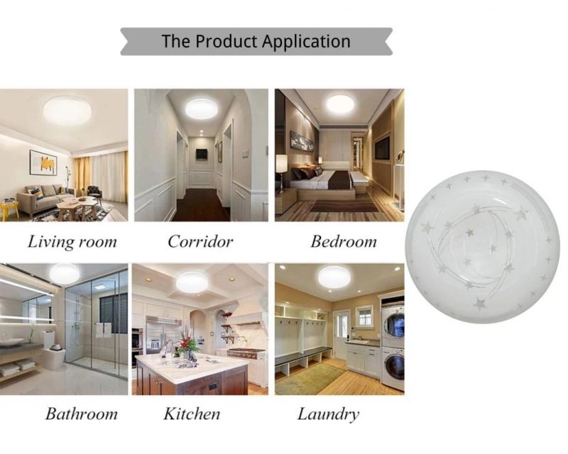 Indoor Modern LED Ceiling Lamps Decorative LED Light Round The Apple Shape LED Lighting CE RoHS Certificates