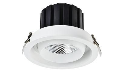 Adjustable Pinhole High Brightness LED COB Ceiling Light Downlight Customizable