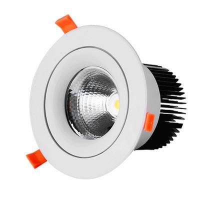 Dali Dimmable 30W LED Spot Lamp Adjustable Surface Mounting COB LED Ceiling Downlight
