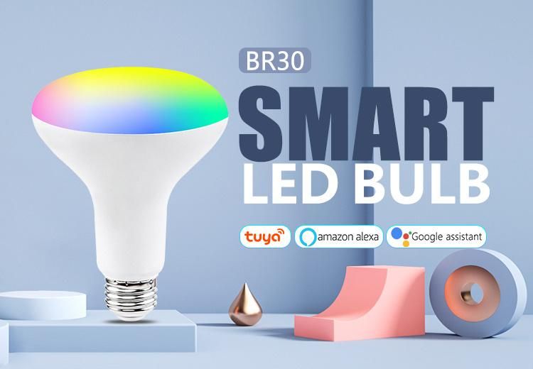 WiFi Voice Control Home Decoration Smart LED Bulb Br30