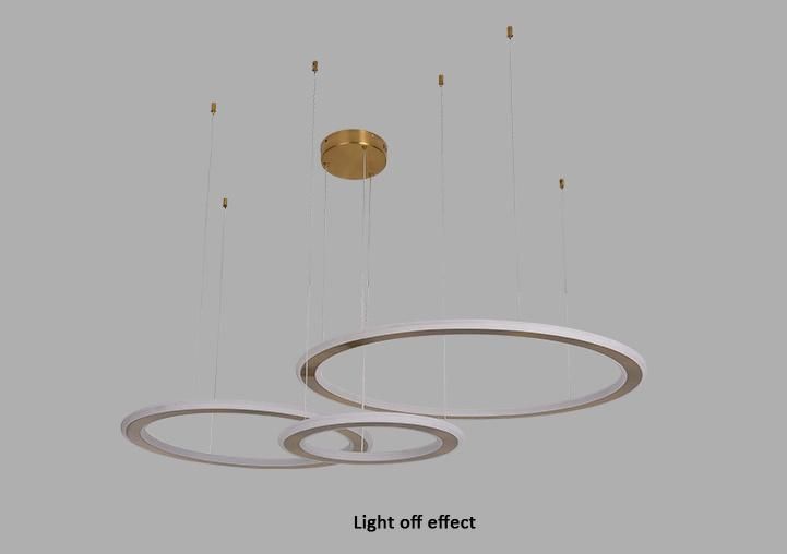 Modern Living Room Circular Duplex Staircase Ceiling Lights Decorative LED Chandelier Lamp for Living Room