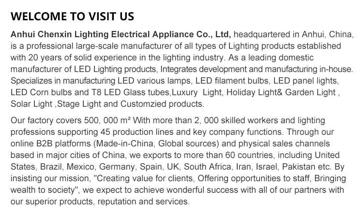 Popular Lighting Products in Market Multi-Function Smart Bulb