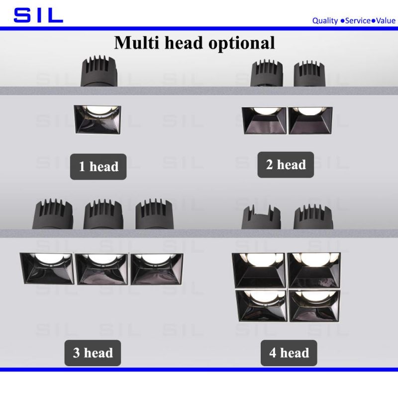LED Spot Light Direct Factory Selling COB LED Downlight 2X20W 40W Embedded Recessed Spot Light