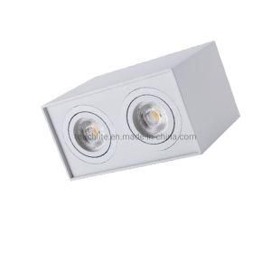 3W*2-8W*2 Square LED Ceiling Surface Mounted Downlight 50000 Hours Long Life Hotel Light