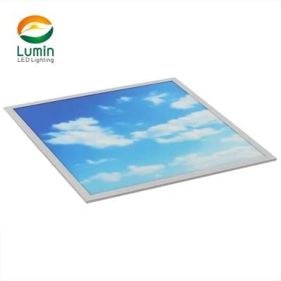 Picture Printed Ceiling Lighting LED Panel Light for Yoga Gym House Skylight Lighting