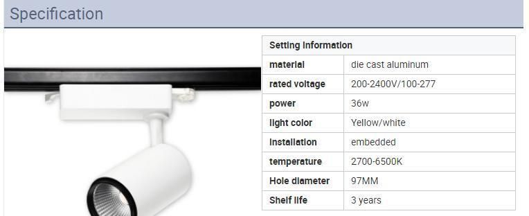 OEM Customized White and Black Color COB LED Track Light 40W LED Track Spot Light