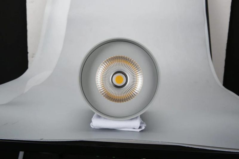 Waterproof LED Surface Mounted Downlight Ceiling Light Cylindrical Down Light in 5 Years Warranty