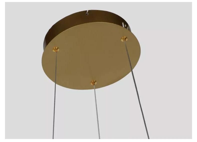 New Design Hot Sell Decorative Ring Art Decor Modern LED Chandelier LED House Light Pendant Lights Lamp for Living Room