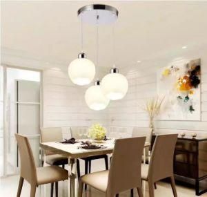 Factory Supply Pendant Lamp for Dining Room Restaurant