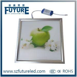 Shenzhen Future LED Office Housing, LED Panel Lights Part