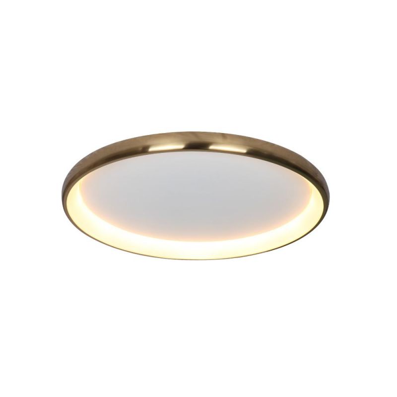 Masivel Factory Indoor Decorative LED Ceiling Light Modern Round Acrylic Cover Brass Ceiling Light with CE RoHS