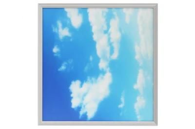 Blue Sky Panel Light with Customized Pictures for Home/Office Lighting